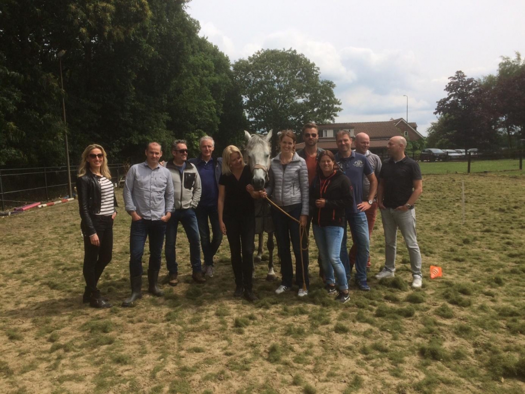 Grip paardencoaching
